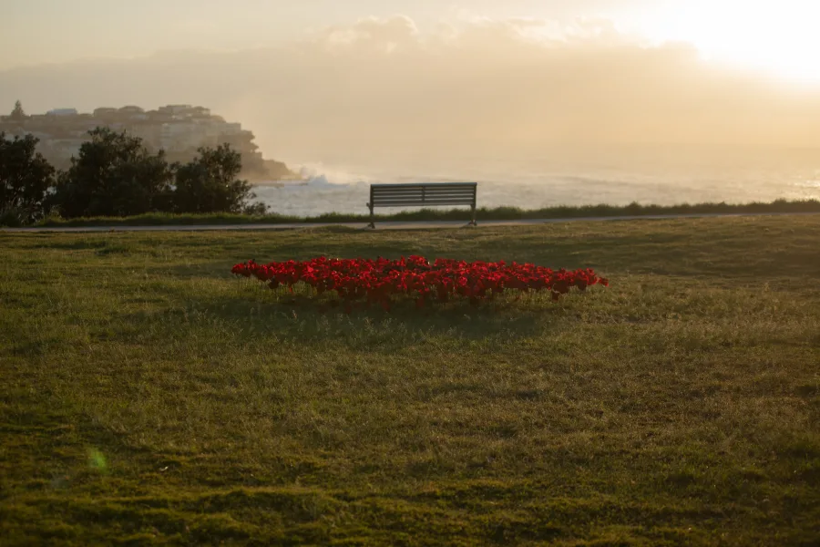 JNF Yom HaZikaron tribute at Marks Park Bondi photography by DarianKrostFilms