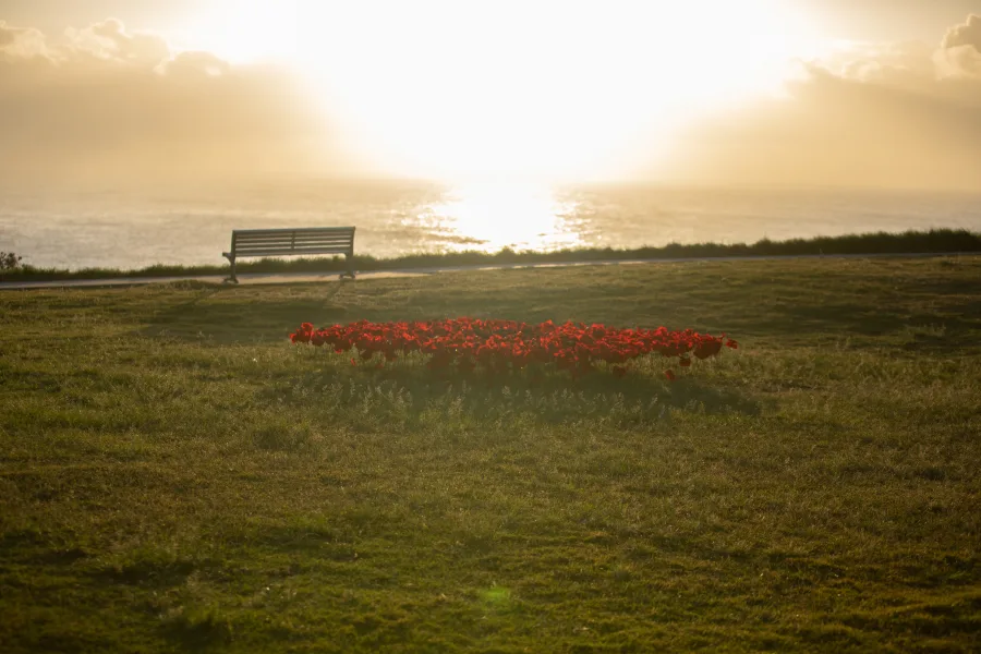 JNF Yom HaZikaron tribute at Marks Park Bondi photography by DarianKrostFilms