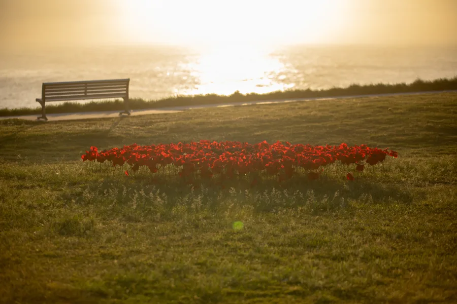 JNF Yom HaZikaron tribute at Marks Park Bondi photography by DarianKrostFilms