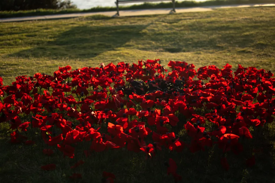 JNF Yom HaZikaron tribute at Marks Park Bondi photography by DarianKrostFilms