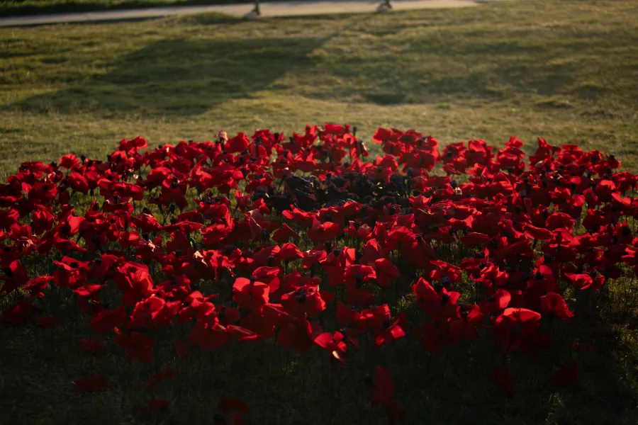 JNF Yom HaZikaron tribute at Marks Park Bondi photography by DarianKrostFilms