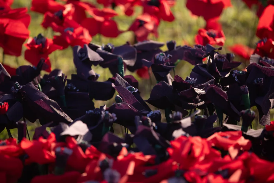 JNF Yom HaZikaron tribute at Marks Park Bondi photography by DarianKrostFilms